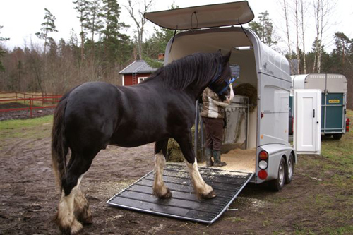 Транспортировка лошадей в прицепе коневозе